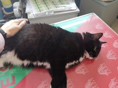 -艾泽瑞斯图文快印打印复印证件照设计名片画册(艾泽瑞斯打印复印洗照片店)