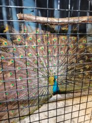 -酷嗒动物文化乐园(cutezoo西溪乐天城店)