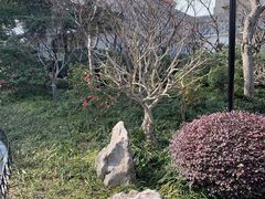 -兰溪青年公园