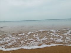 -林海公园