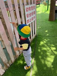 -萌宠亲子动物乐园(槐房万达店)