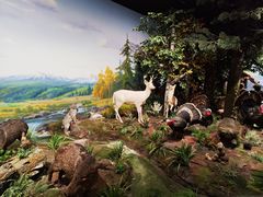 -陕西自然博物馆