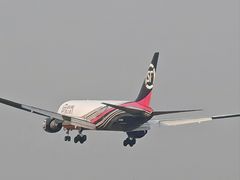 -空港花田景区