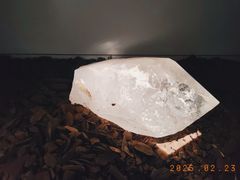 -艺仓美术馆
