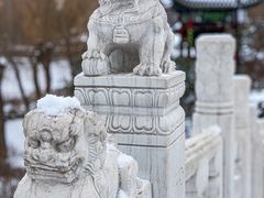 -迎泽公园