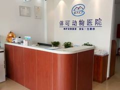 -美联众合动物医院·伴可分院·内科中心医院