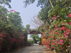 -天下先生态园农庄CS团建露营地(海鸥岛店)