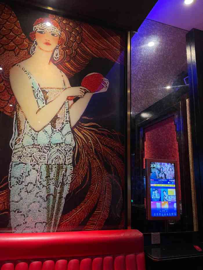 v-show主题ktv(金虹桥国际中心店)-"它们家属于主题式包房,每个房间都