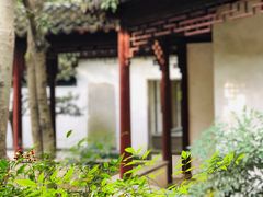-秋霞圃