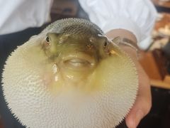 -永安鱼庄·镇江菜(丁卯店)