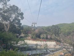 -广州市白云山风景名胜区