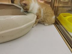 -海底捞火锅(石厦时代广场店)