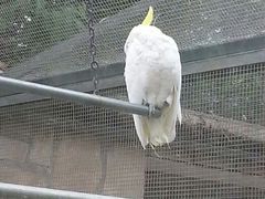 android_upload_pic-北京市海淀外国语实验学校