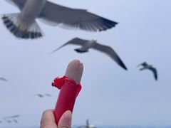 -大连海昌东方水城