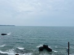 -贝壳沙滩