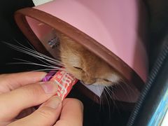 -圣宠动物医院·犬猫专科·影像中心·外科中心