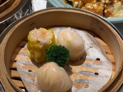 -南海渔村(珠江新城店)