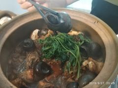 -食爺炭炉鸡煲·烧烤