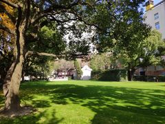 -复旦大学附属华山医院(总院)