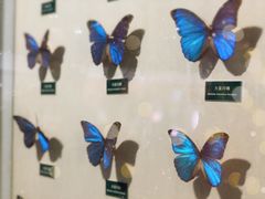 -陕西自然博物馆