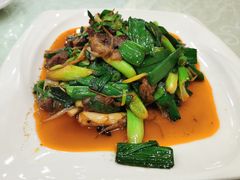 -圣厨牛腩(青春岛社区玉寿苑店)