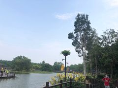 -大湾区中央湿地公园