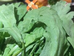 -湊湊火锅·茶憩(和平大悦城店)