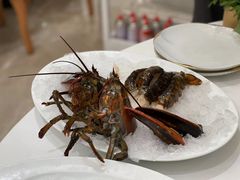 -京彩臻品火锅