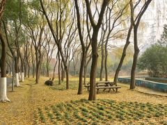 -昆山城市生态森林公园