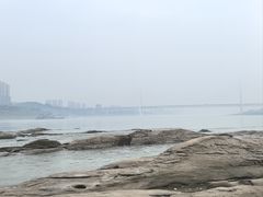 -陈有良尖椒鸡(江津总店)