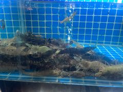 -佰园全日西餐厅-厦门佰翔软件园酒店