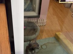 -联合动物医院(光谷诊疗中心)