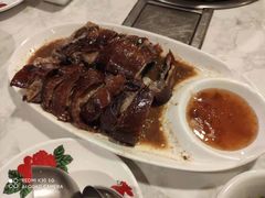 -广顺鑫猪肚鸡(经八路店)