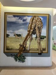 -北京嘉禾医疗