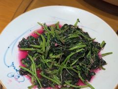 -鸽子窝(宋庄店)