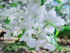 -元大都城垣遗址公园