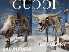 -正佳自然科学博物馆