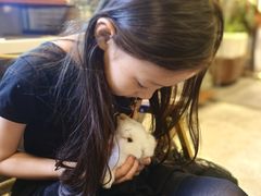 -吉丁鸟咖·异宠·寄养