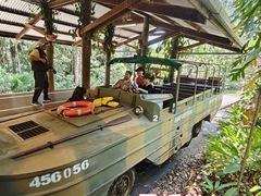 -热带雨林自然公园