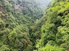 -碧峰峡风景区
