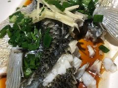 -龙记烧腊茶餐厅(常德路店)