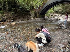 -西岭雪山大飞水景区
