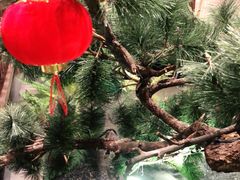 -江南赋(内蒙古大厦店)