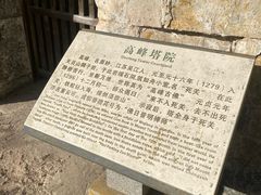 -天目山大树王景区