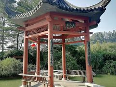 -广州神农草堂中医药博物馆