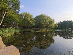 -郑州植物园