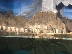 -成都浩海立方海洋公园