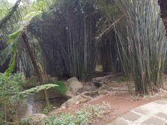 -峨眉山报国寺