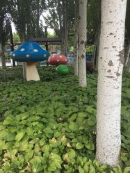 -大望京儿童游乐场