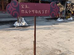 -荣国府